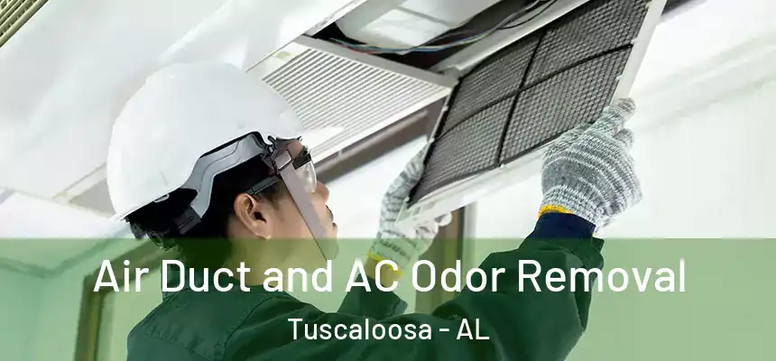 Air Duct and AC Odor Removal Tuscaloosa - AL