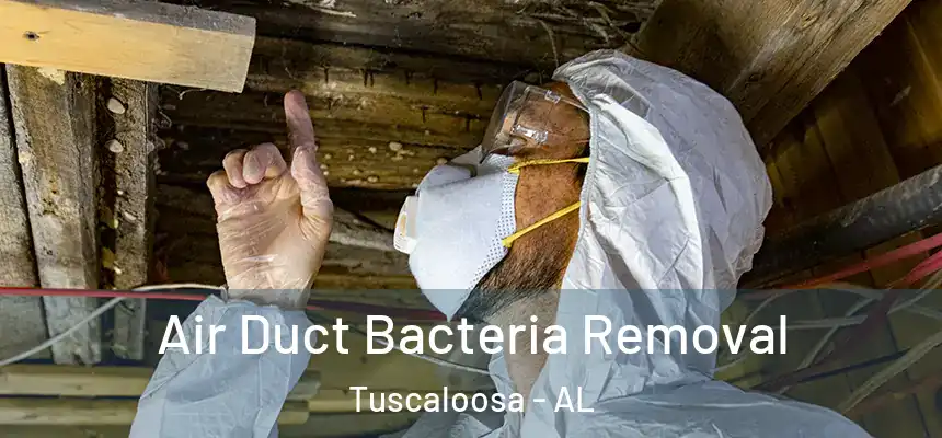 Air Duct Bacteria Removal Tuscaloosa - AL