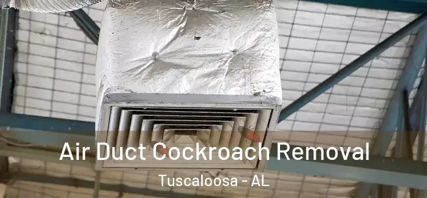 Air Duct Cockroach Removal Tuscaloosa - AL