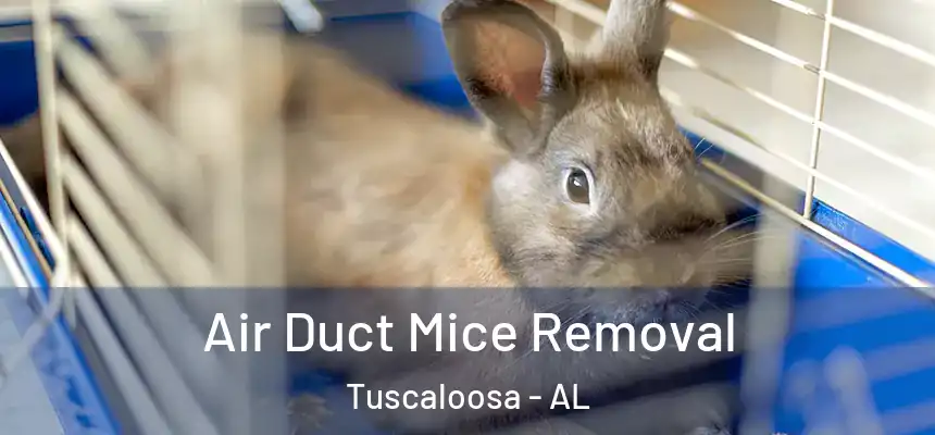 Air Duct Mice Removal Tuscaloosa - AL