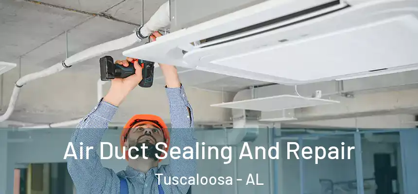Air Duct Sealing And Repair Tuscaloosa - AL