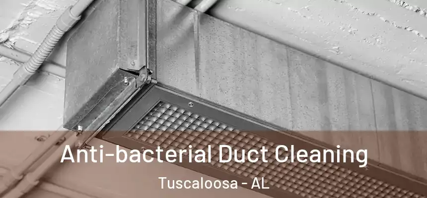 Anti-bacterial Duct Cleaning Tuscaloosa - AL