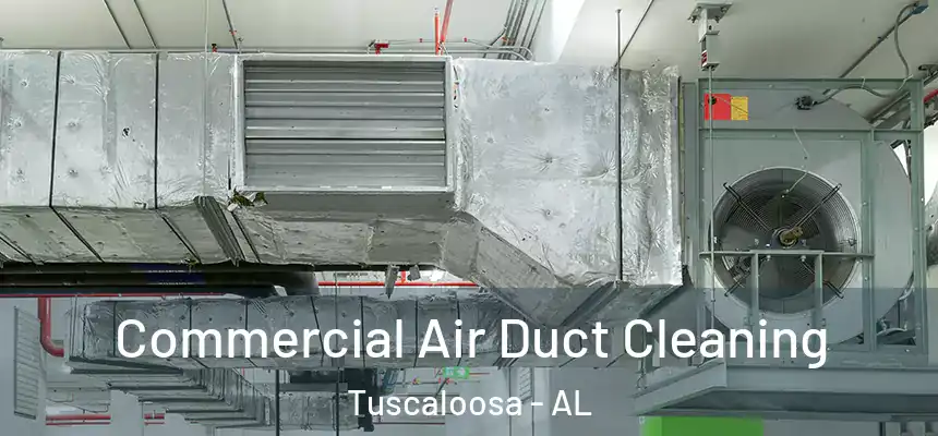 Commercial Air Duct Cleaning Tuscaloosa - AL