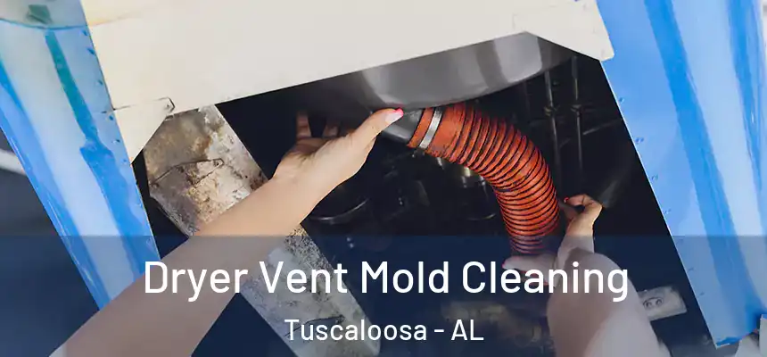 Dryer Vent Mold Cleaning Tuscaloosa - AL