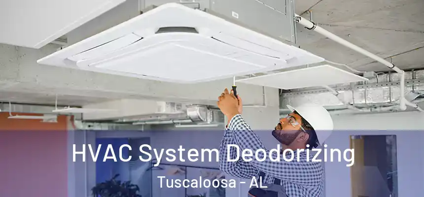 HVAC System Deodorizing Tuscaloosa - AL