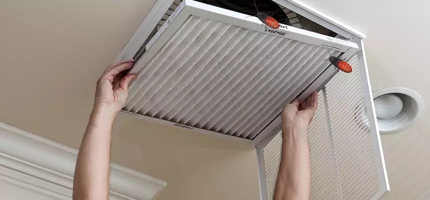 Preventive Cockroach-Proofing for Ducts in Tuscaloosa