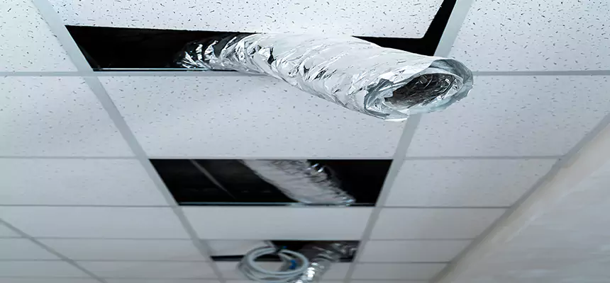 Affordable HVAC Sanitizing After Pest Removal in Tuscaloosa