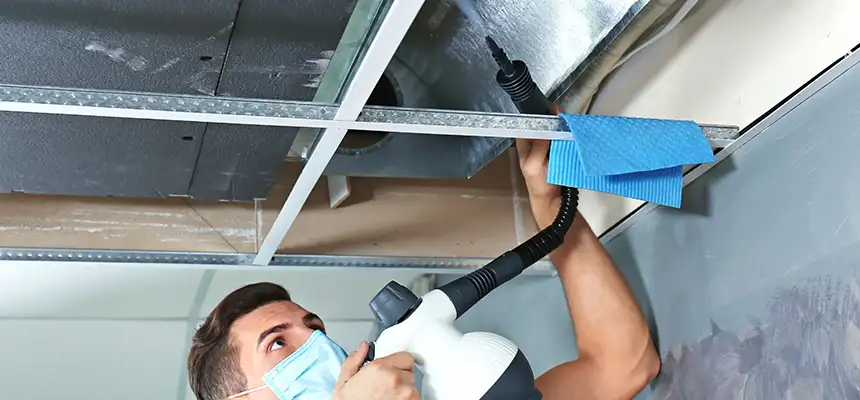 Our Air Duct Rodent Removal Services in Tuscaloosa, AL