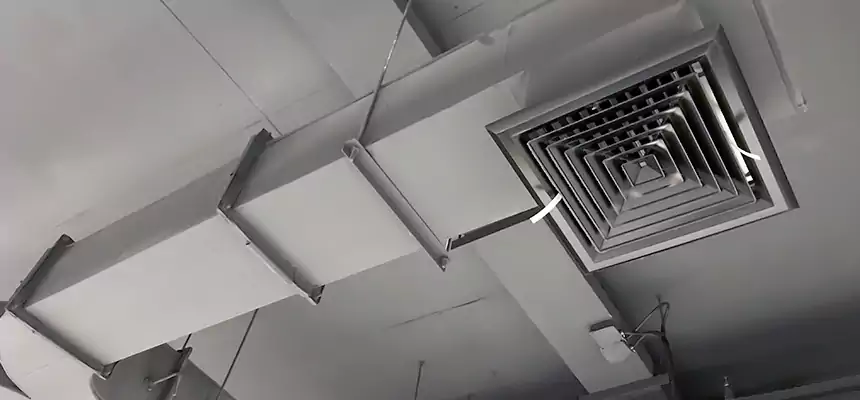 Restorative Allergy Relief Vent Cleaning – Coil, Blower & Housing Detail in Tuscaloosa