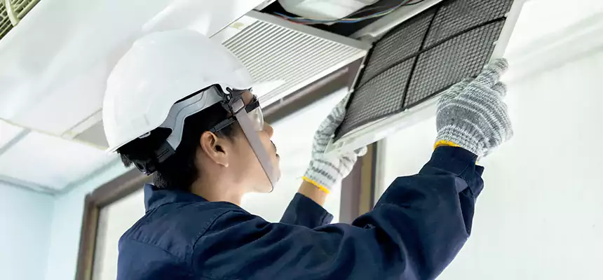 Our Mold & Mildew Removal from Air Ducts Services in Tuscaloosa, AL