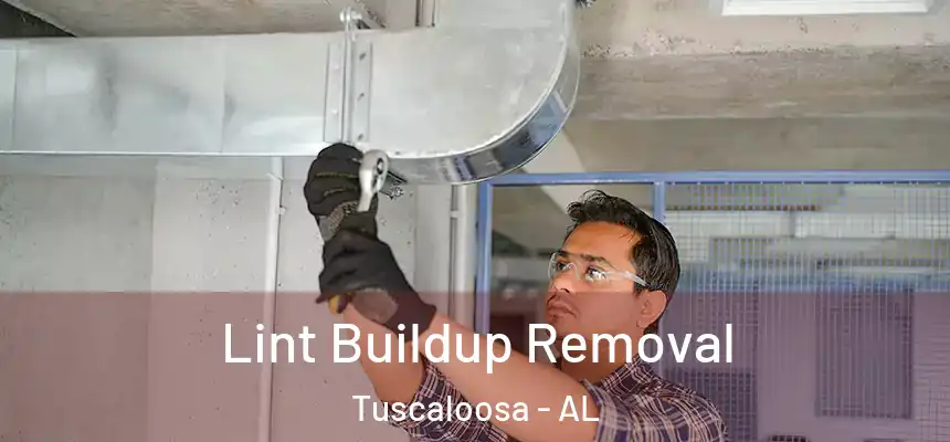 Lint Buildup Removal Tuscaloosa - AL