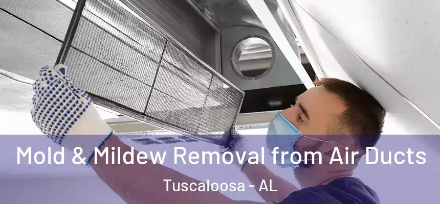 Mold & Mildew Removal from Air Ducts Tuscaloosa - AL