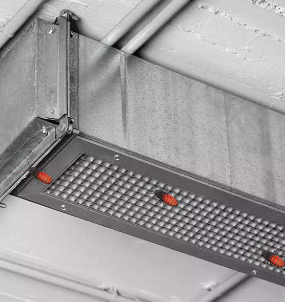 About Air Duct Cockroach Removal in Tuscaloosa, AL