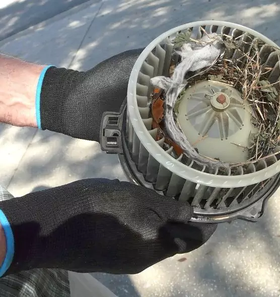 About Air Duct Mice Removal in Tuscaloosa, AL