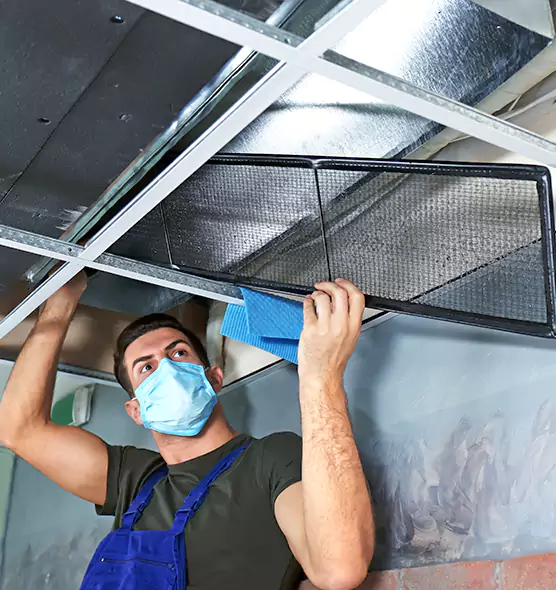 Professional Air Duct Pollen Cleaning in Tuscaloosa, AL