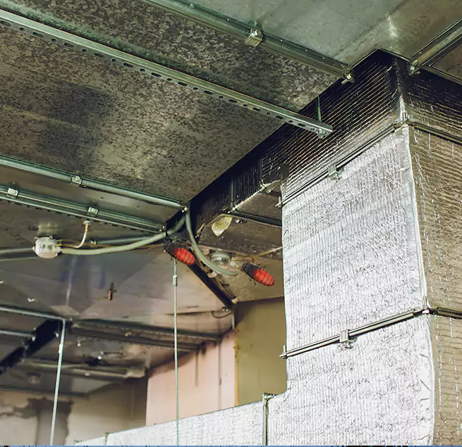 Why Homeowners & Businesses Trust Us in Tuscaloosa, AL?