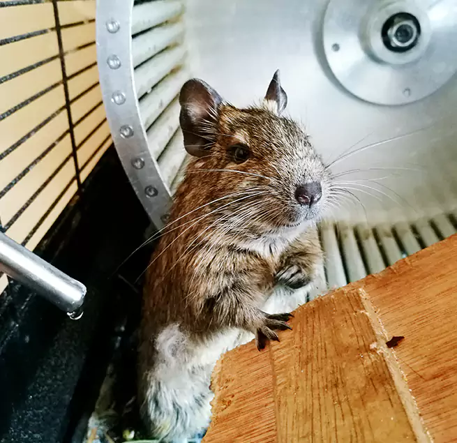 Why Homeowners & Businesses Trust Us Tuscaloosa, AL