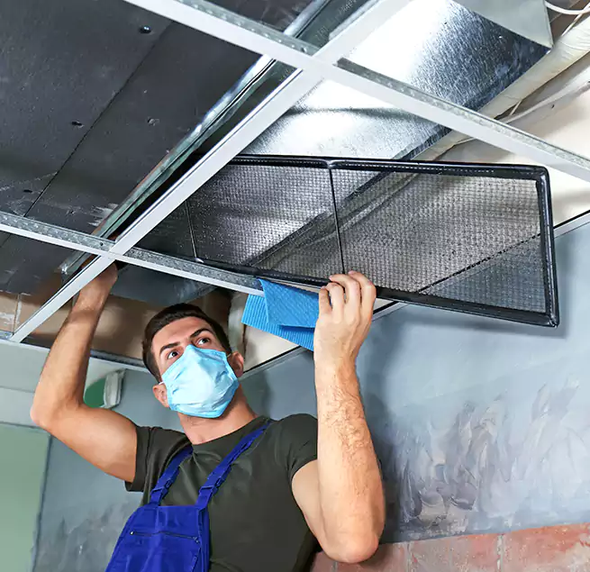 Why Homeowners Businesses Trust Us in Tuscaloosa, AL