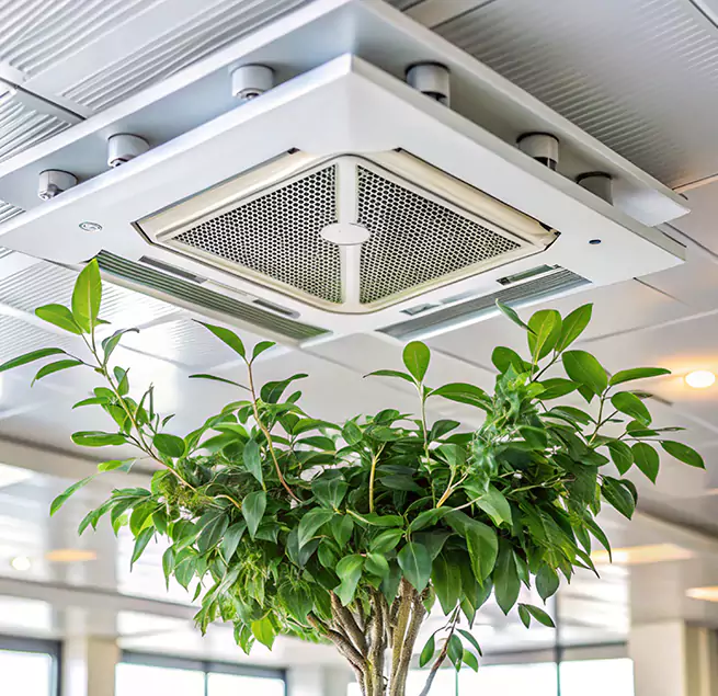 Why Homeowners & Businesses Trust Us in Tuscaloosa, AL?